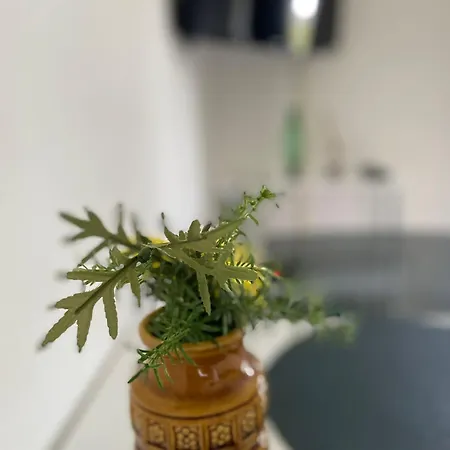 Appartement Zv-scholtz Mozartstr, 15 Ap-kl
